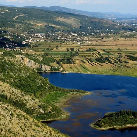 Gudelj *