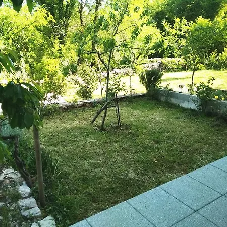 Gudelj *