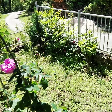 Gudelj Imotski