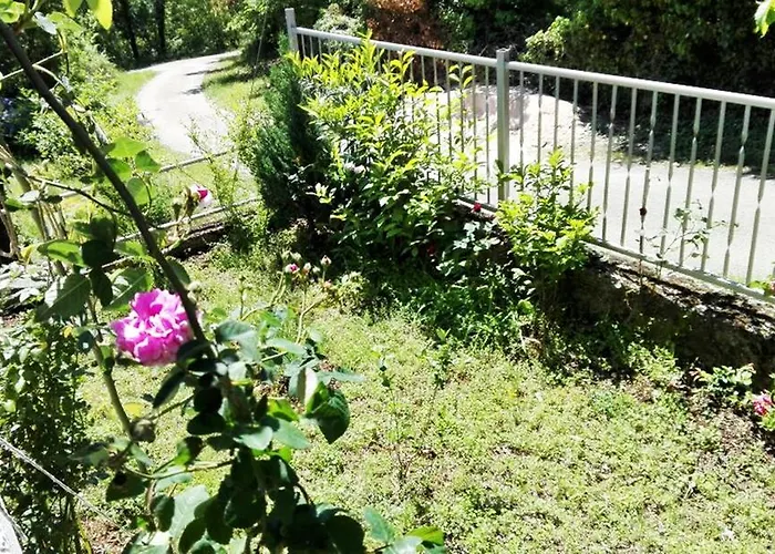 Gudelj Imotski
