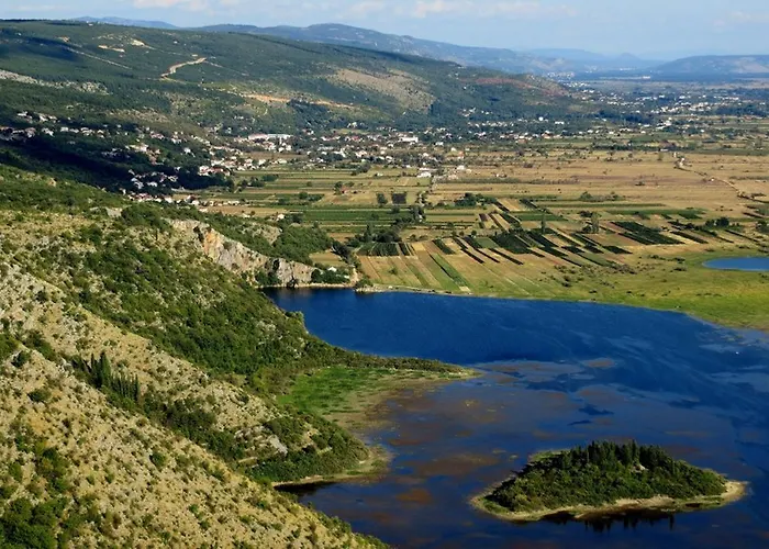 Gudelj *